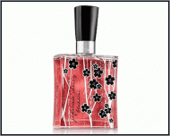 Bath and Body Works : Japanese Cherry Blossom type (U)